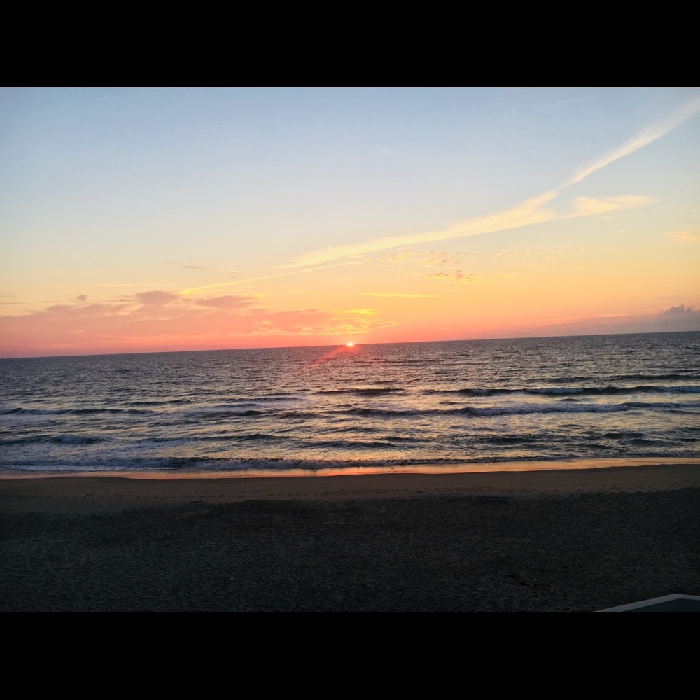 Meet your Posher, Iris